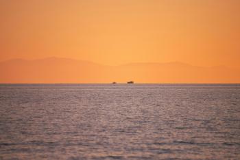 Fondo de Pantalla de pexels_30104879.jpg