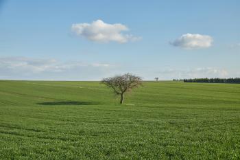 Fondo de Pantalla de pexels_30132043.jpg