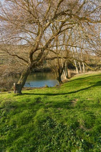 Fondo de Pantalla de pexels_30132058.jpg