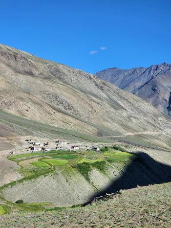 Fondo de Pantalla de pexels_30179519.jpg