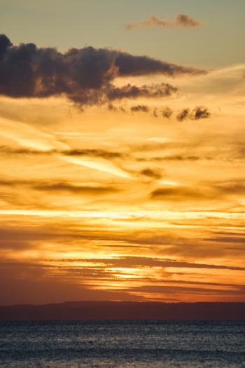 Fondo de Pantalla de pexels_30270563.jpg