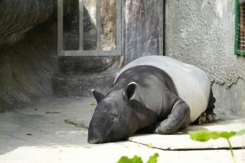 Fondo de Pantalla de pexels_30366918.jpg