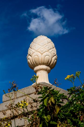 Fondo de Pantalla de pexels_30549799.jpg