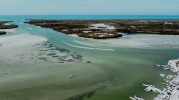 Fondo de Pantalla de pexels_29889498.jpg