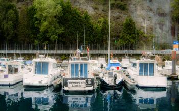 Fondo de Pantalla de pexels_29341666.jpg