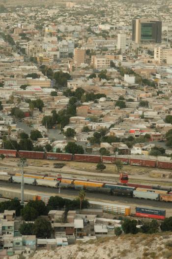 Fondo de Pantalla de pexels_29494816.jpg