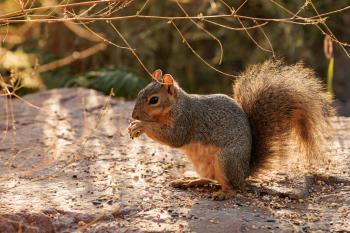 Fondo de Pantalla de pexels_28438132.jpg