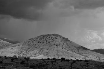 Fondo de Pantalla de pexels_27575882.jpg