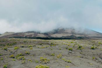 Fondo de Pantalla de pexels_27925567.jpg