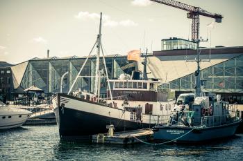 Fondo de Pantalla de pexels_27959976.jpg