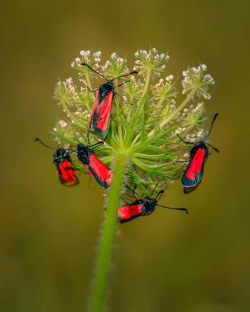 Fondo de Pantalla de pexels_19949993.jpg