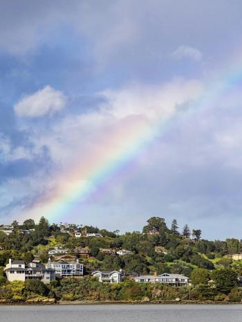 Fondo de Pantalla de pexels_20378906.jpg