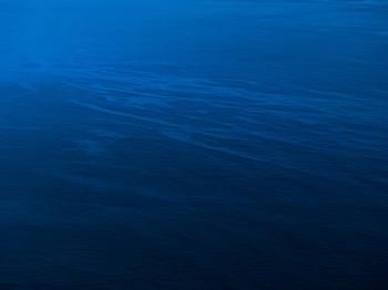 Fondo de Pantalla de pexels_20485057.jpg