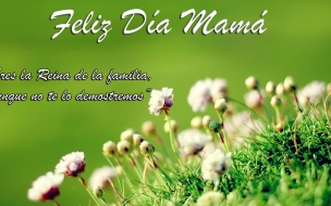 Feliz día Mamá