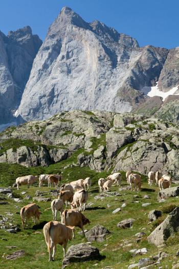 Fondo de Pantalla de pexels_18636393.jpg