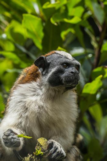 Fondo de Pantalla de pexels_18183052.jpg