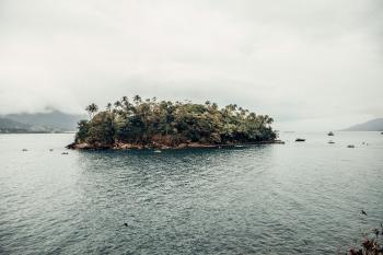 Fondo de Pantalla de pexels_16963307.jpg