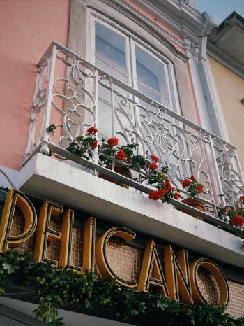 Fondo de Pantalla de pexels_16354250.jpg