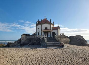 Fondo de Pantalla de pexels_14285953.jpg