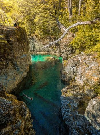 Fondo de Pantalla de pexels_13430589.jpg