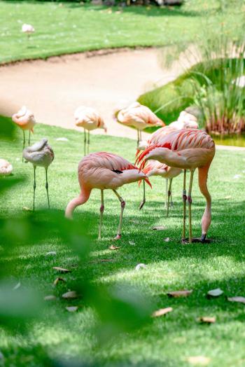 Fondo de Pantalla de pexels_12861710.jpg