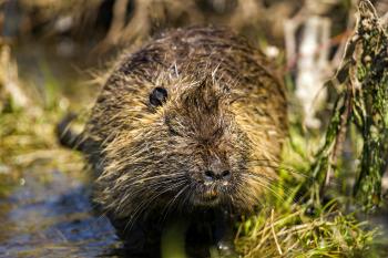 Fondo de Pantalla de pexels_12025042.jpg