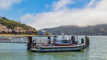 Fondo de Pantalla de pexels_12996156.jpg