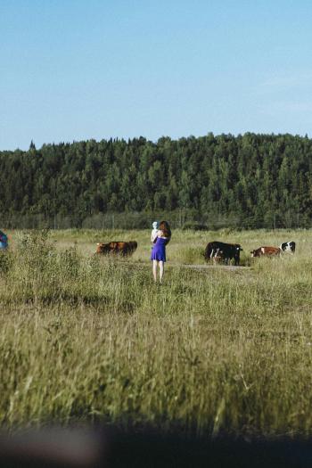 Fondo de Pantalla de pexels_13086605.jpg