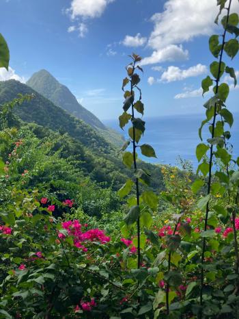 Fondo de Pantalla de pexels_10666822.jpg