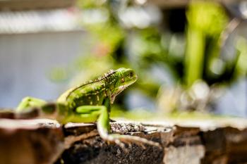 Fondo de Pantalla de pexels_10877399.jpg