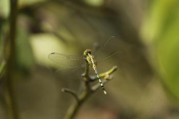 Fondo de Pantalla de pexels_18840710.jpg