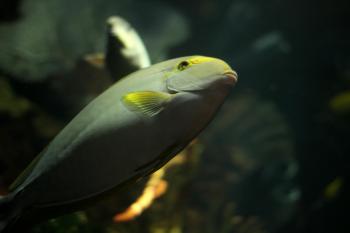 Fondo de Pantalla de pexels_28797466.jpg