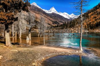 Fondo de Pantalla de pexels_2883508.jpg