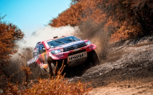 Rally 2560x1440 sand forest 4k