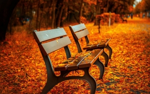 Autumn park 2560x1440 5k 4k wallpaper trees leaves bench