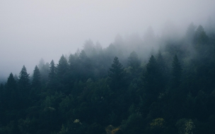 Scandinavia 2560x1440 fog 4k