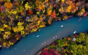 River 2560x1440 forest colors autumn 5k