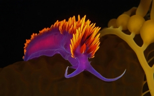 Colorful 2560x1440 abstract dark 4k