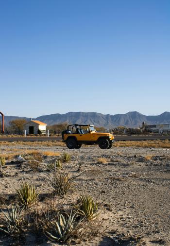 Fondo de Pantalla de pexels_12577574.jpg