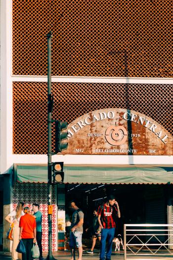 Fondo de Pantalla de pexels_29099978.jpg