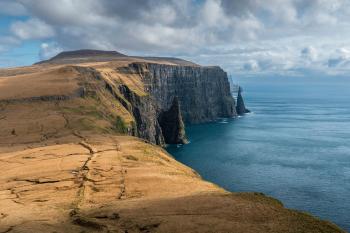 Fondo de Pantalla de pexels_29390787.jpg