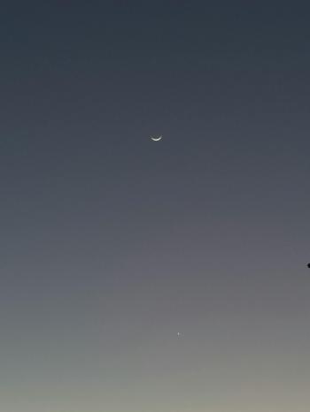 Fondo de Pantalla de pexels_27631804.jpg