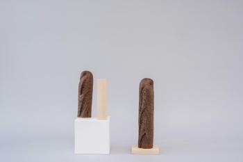 Fondo de Pantalla de pexels_7630473.jpg