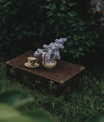 Fondo de Pantalla de pexels_12496779.jpg