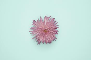 Fondo de Pantalla de pexels_1037997.jpg