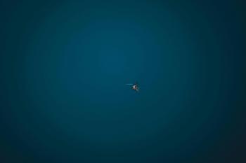 Fondo de Pantalla de pexels_18966163.jpg