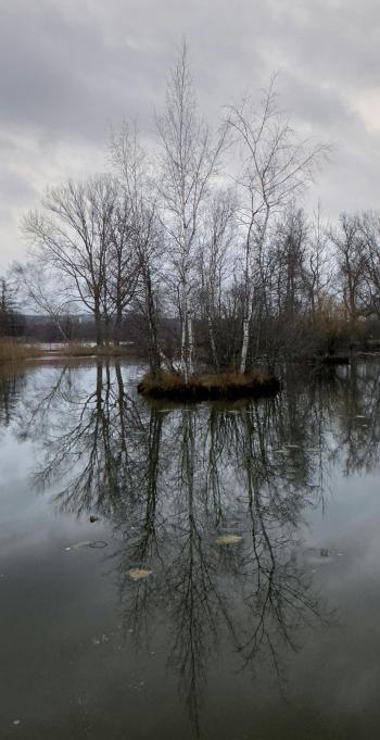 Fondo de Pantalla de pexels_29536006.jpg