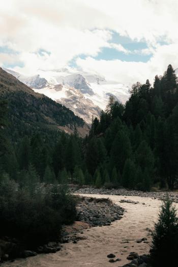 Fondo de Pantalla de pexels_28821834.jpg