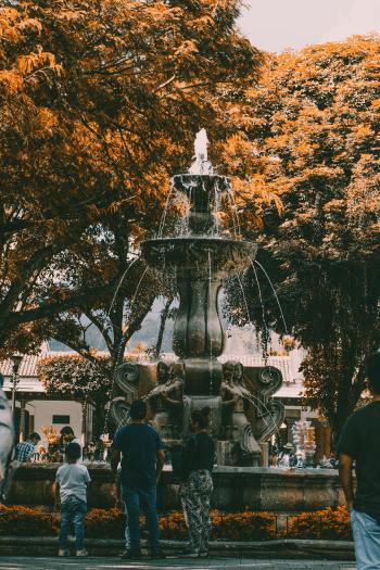 Fondo de Pantalla de pexels_9857015.jpg