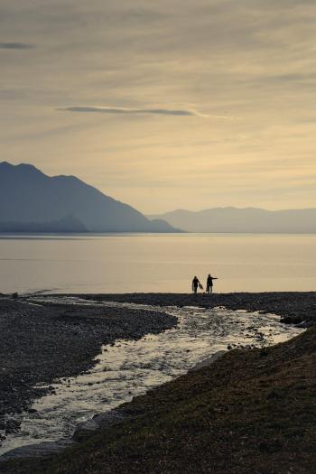 Fondo de Pantalla de pexels_11253856.jpg